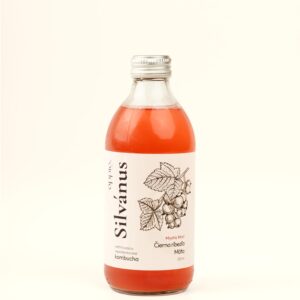 Čierna ríbezľa & mäta