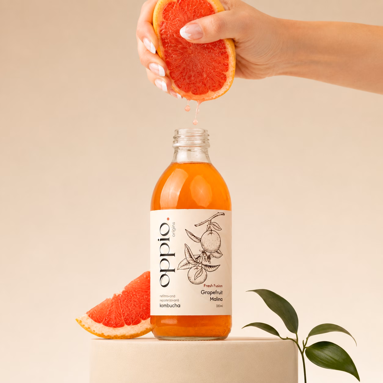 oppio. grepová kombucha