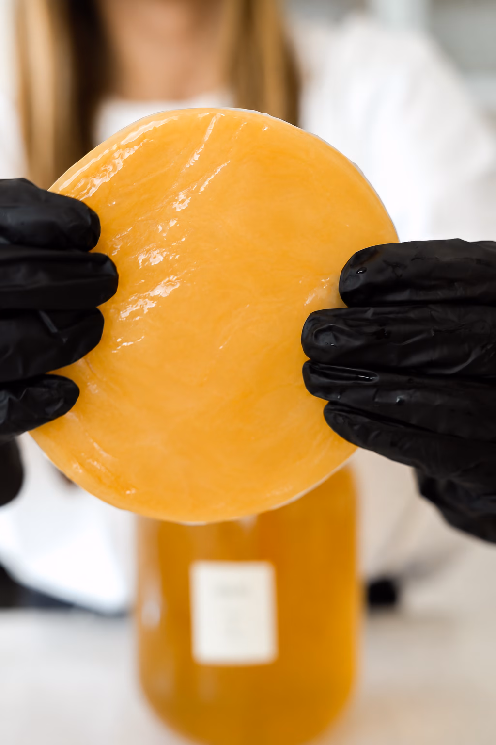 Živá kultúra SCOBY z výroby oppio. pripravená na prvú fermentáciu domácej kombuchy
