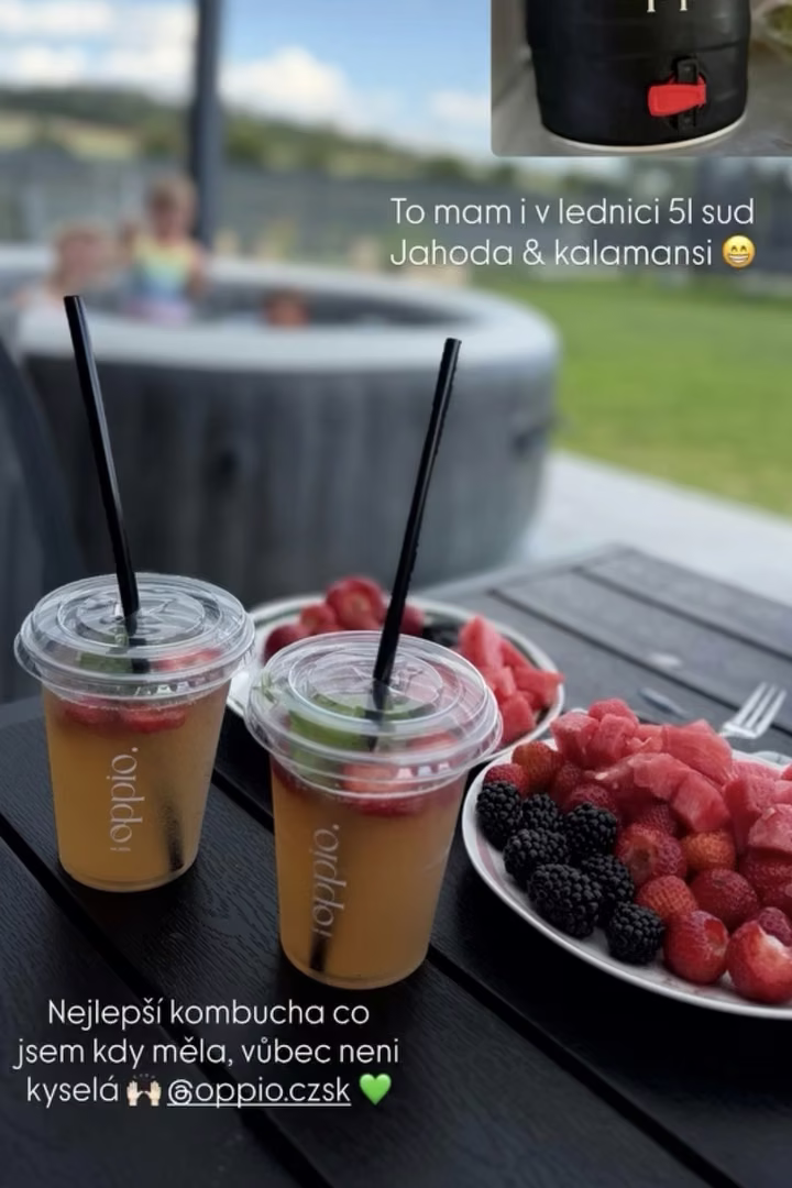 Dva poháre kombuchy oppio. s ovocím, v rohu KEG
