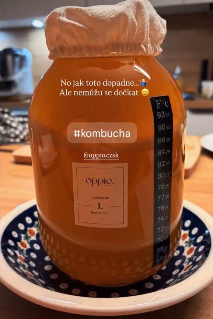 Nádoba na prvú fermentáciu z kitu oppio. zakrytá plátenkom, s teplomerom