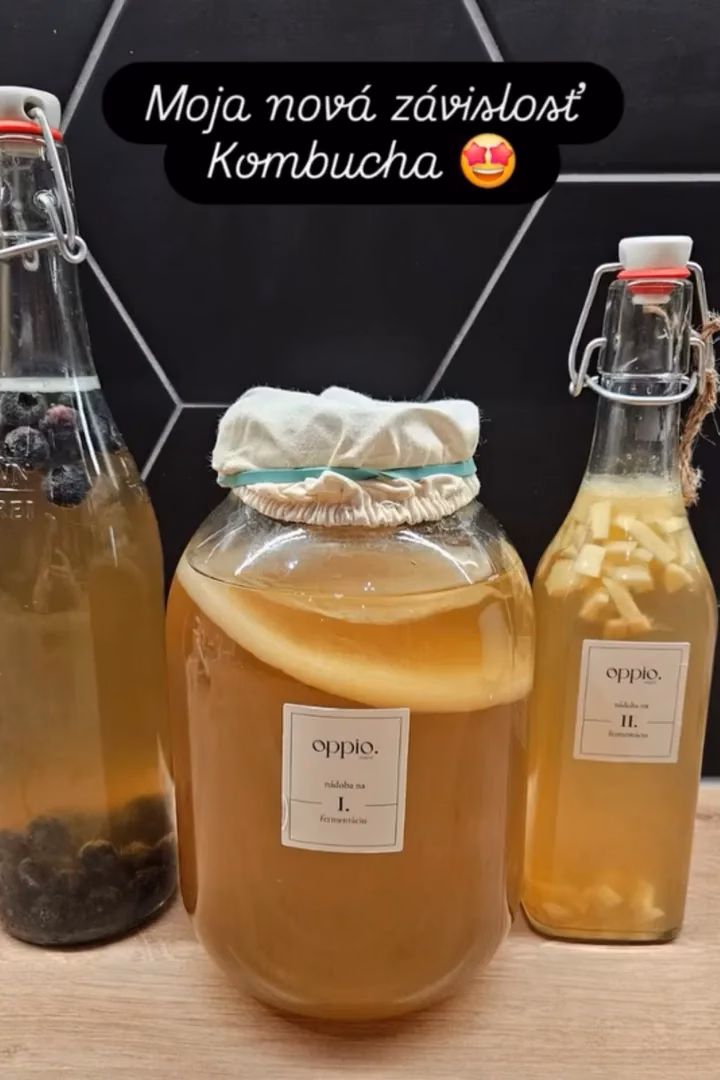 Nádoba na prvú fermentáciu so SCOBY a dve fľaše s druhou fermentáciou z kitu oppio.